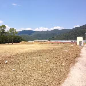 Franjas de protección