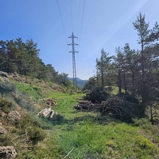 Limpieza de vegetación de líneas eléctricas