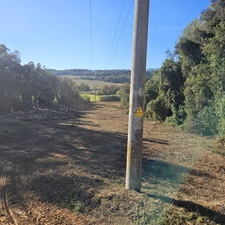 Limpieza de vegetación de líneas eléctricas