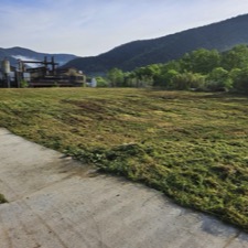 Limpieza de terrenos y parcelas