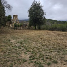 Limpieza de terrenos y parcelas