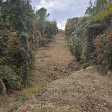 Neteja de vegetació de linies elèctriques