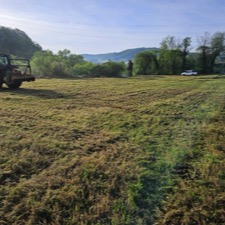 Neteja de terrenys i parcel.les