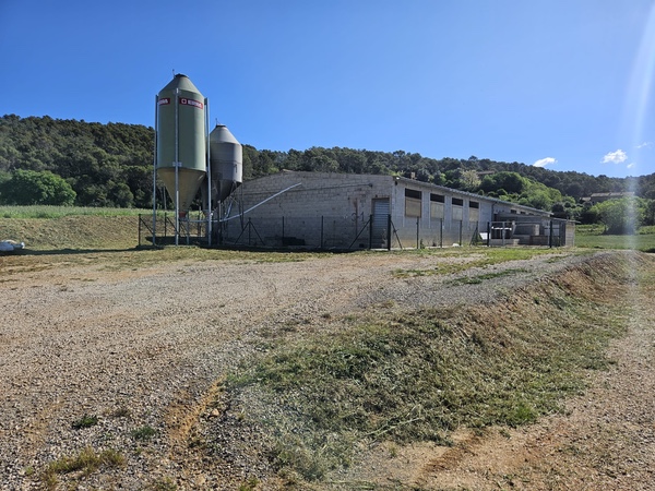 Desbrossament de granges a Girona