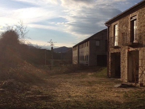 Desbrossament de parcel·les a Girona