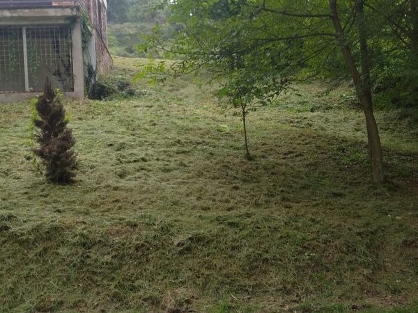 Desbrossament de terrenys a Olot