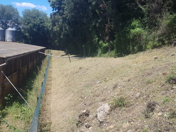 Franjas de protección en Olot