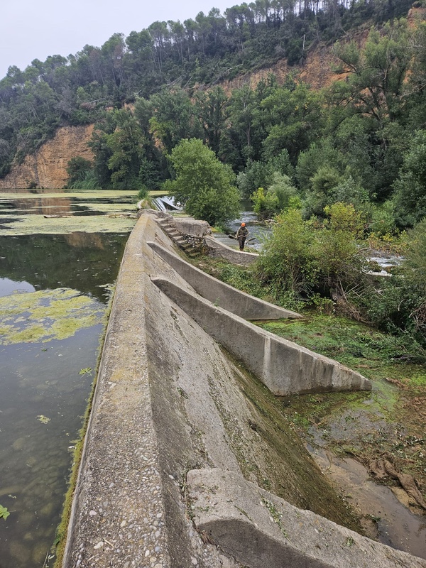 Limpieza de presas en Girona