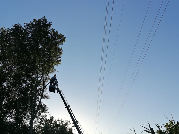Neteja de línies elèctriques a Olot