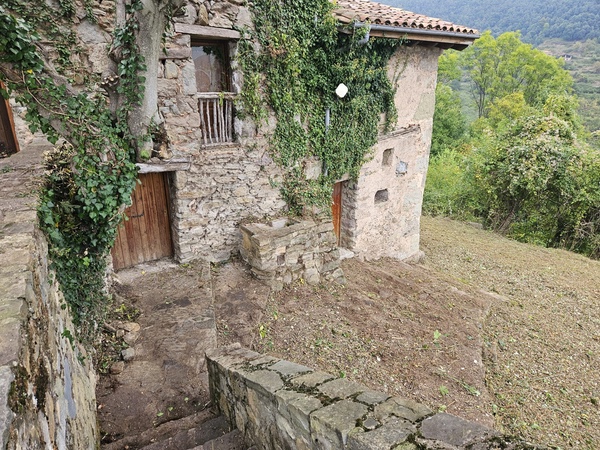 Neteja de Masies a Girona