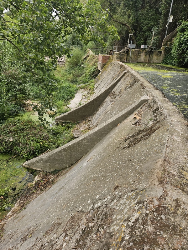 Neteja de vegetació i residus en preses
