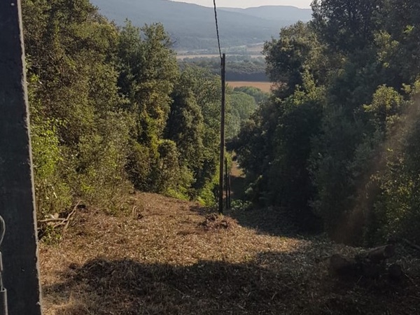 Neteja i desbrossament de línies elèctriques a Girona