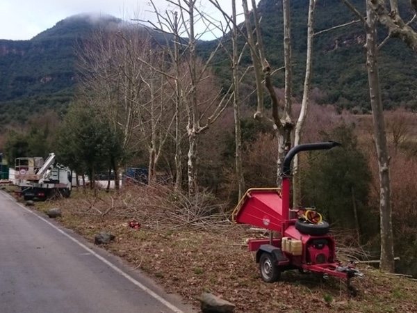 Neteja de parcel·les i desbrossaments a La Bisbal d'Empordà