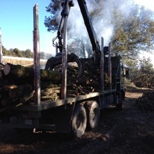 Limpieza de bosques