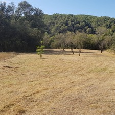 Limpieza de terrenos y parcelas