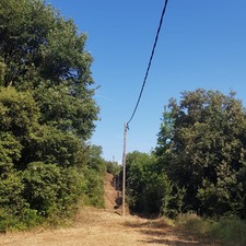 Limpieza de vegetación de líneas eléctricas