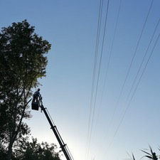 Limpieza de vegetación de líneas eléctricas