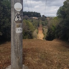 Neteja de vegetació de linies elèctriques